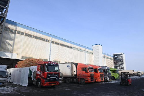 新疆海鴻國際食品物流港匯通智冷4萬噸倉庫試運(yùn)行，打造國際冷鏈物流新樞紐
