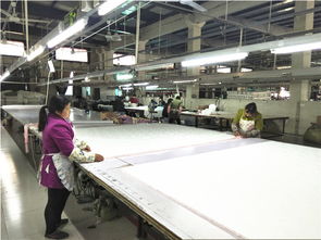 良心推薦 小永遠羽絨被加工廠品質(zhì)優(yōu)價廉，誠招代理加盟